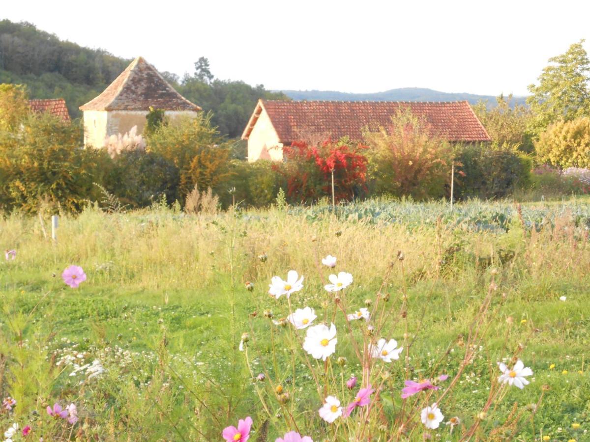 Chambres D'Hotes Le Roussel Le Buisson-de-Cadouin Esterno foto